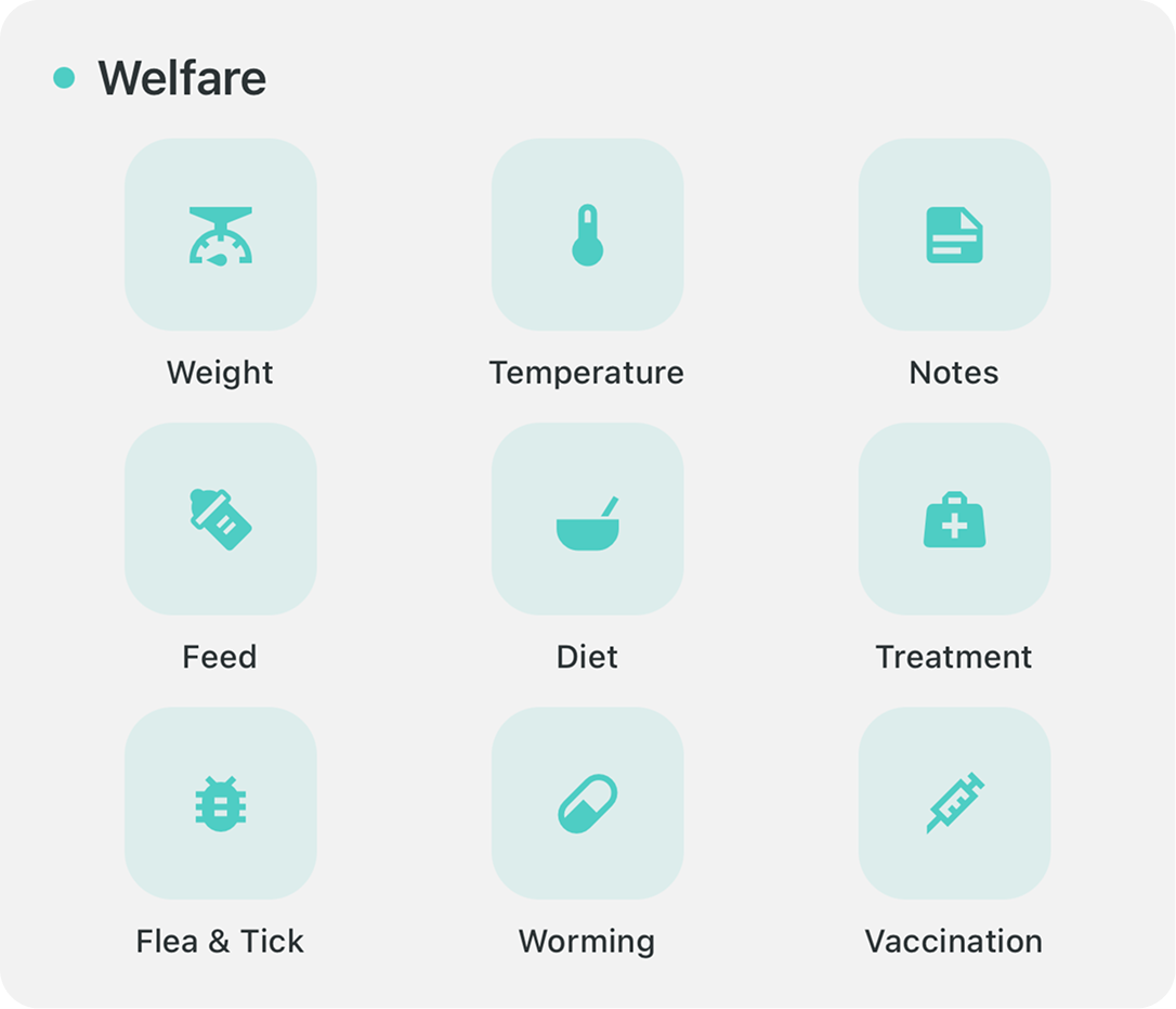 Project Tracking Image