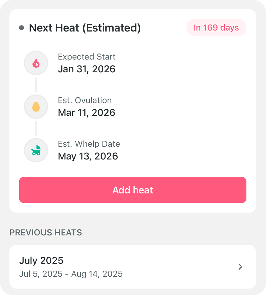 Project Tracking Image