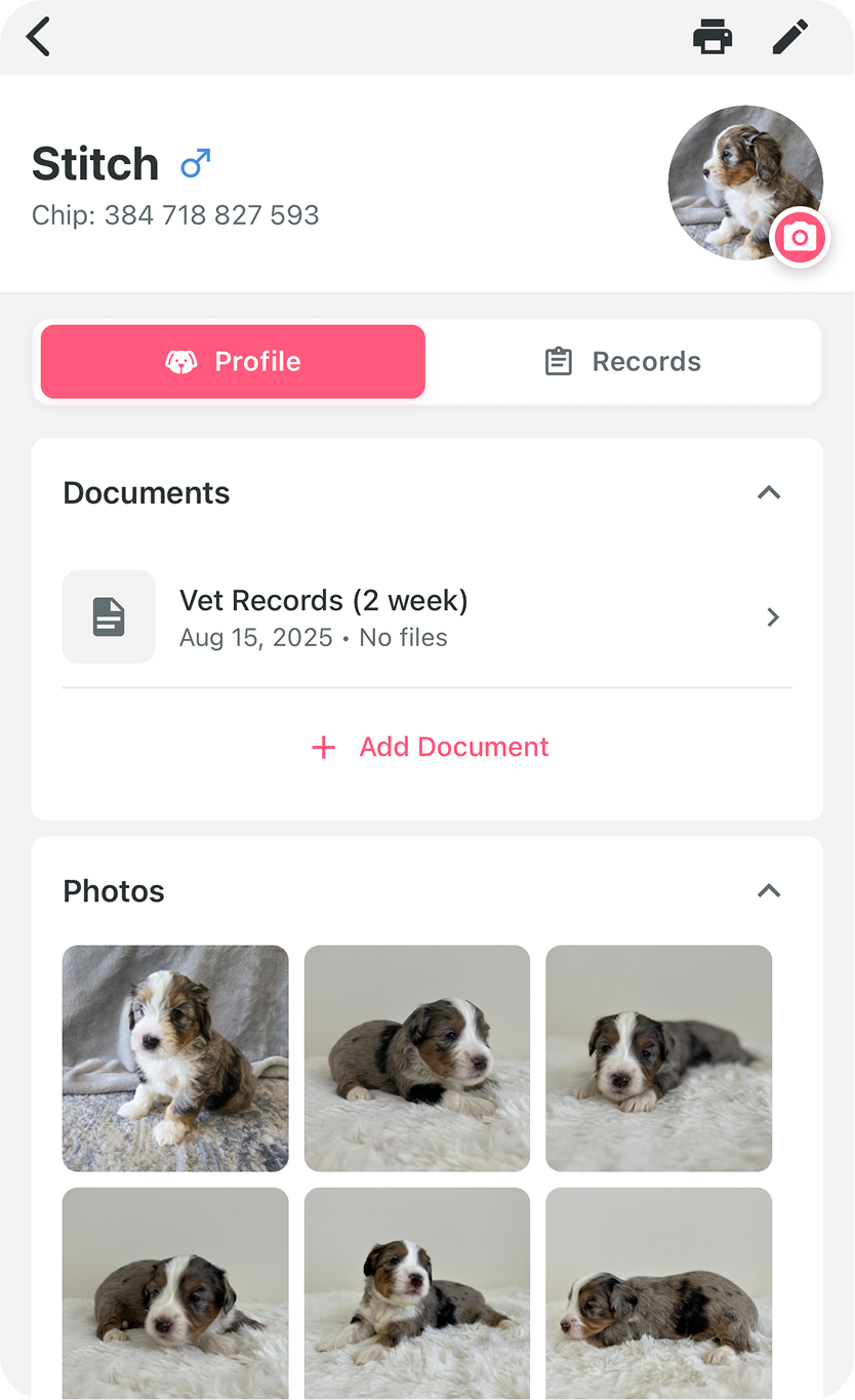 Special Feature Image
